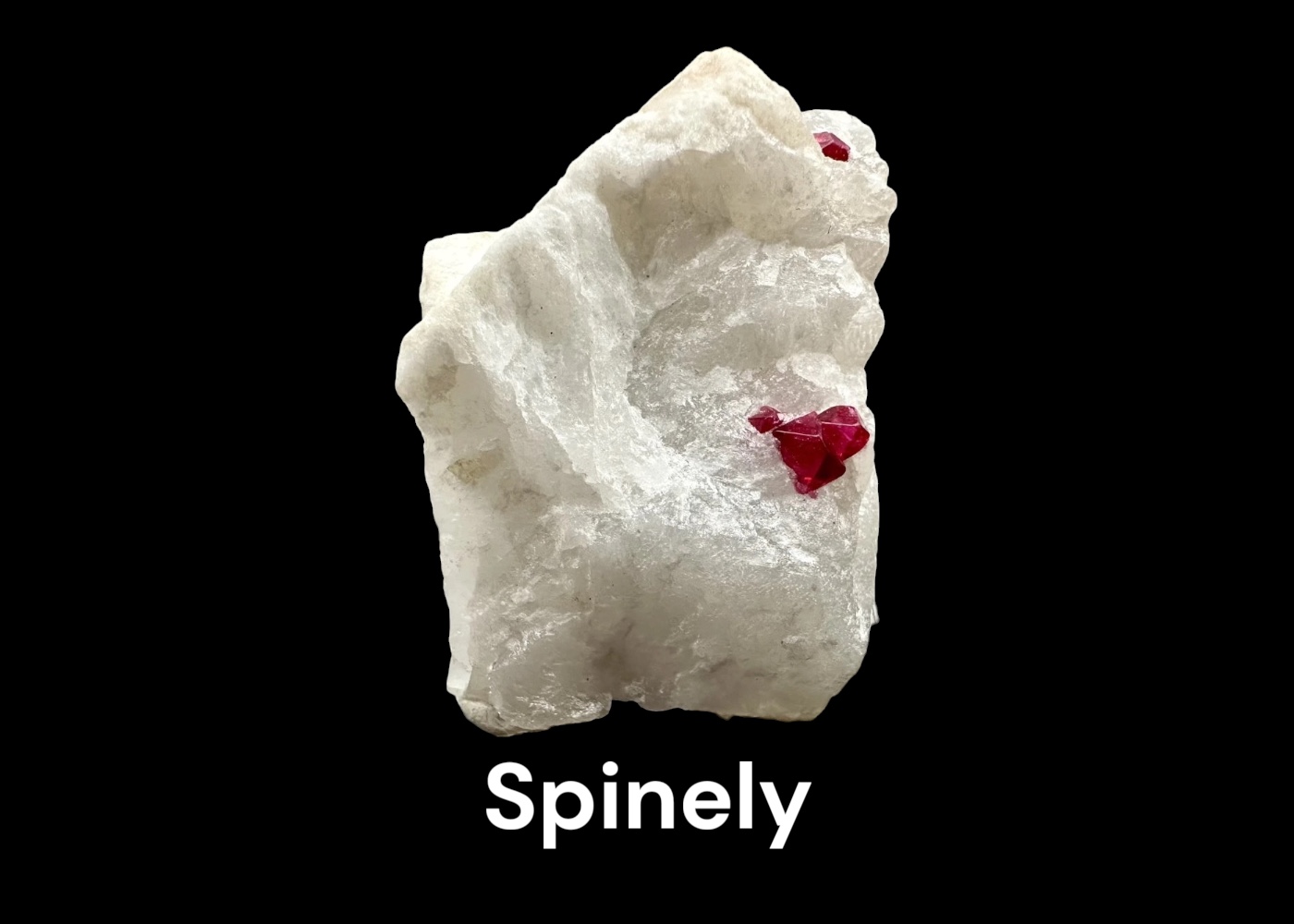 Spinely
